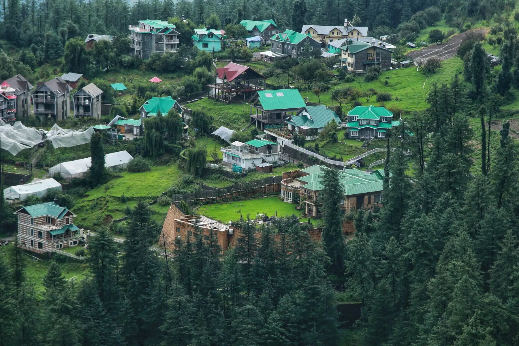  top things to do in shimla
